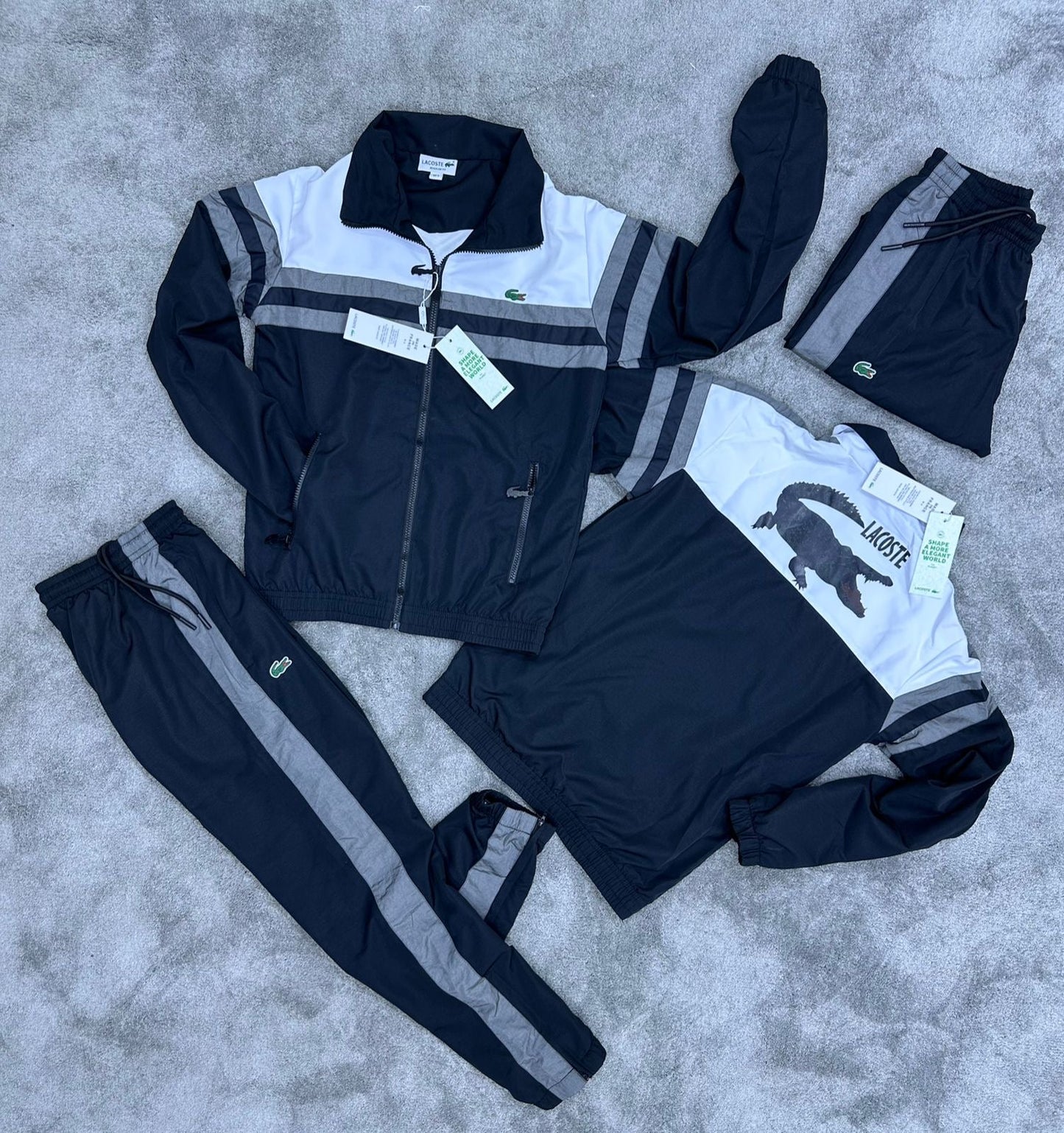 Nuevo Chándal Lacoste Max calidad