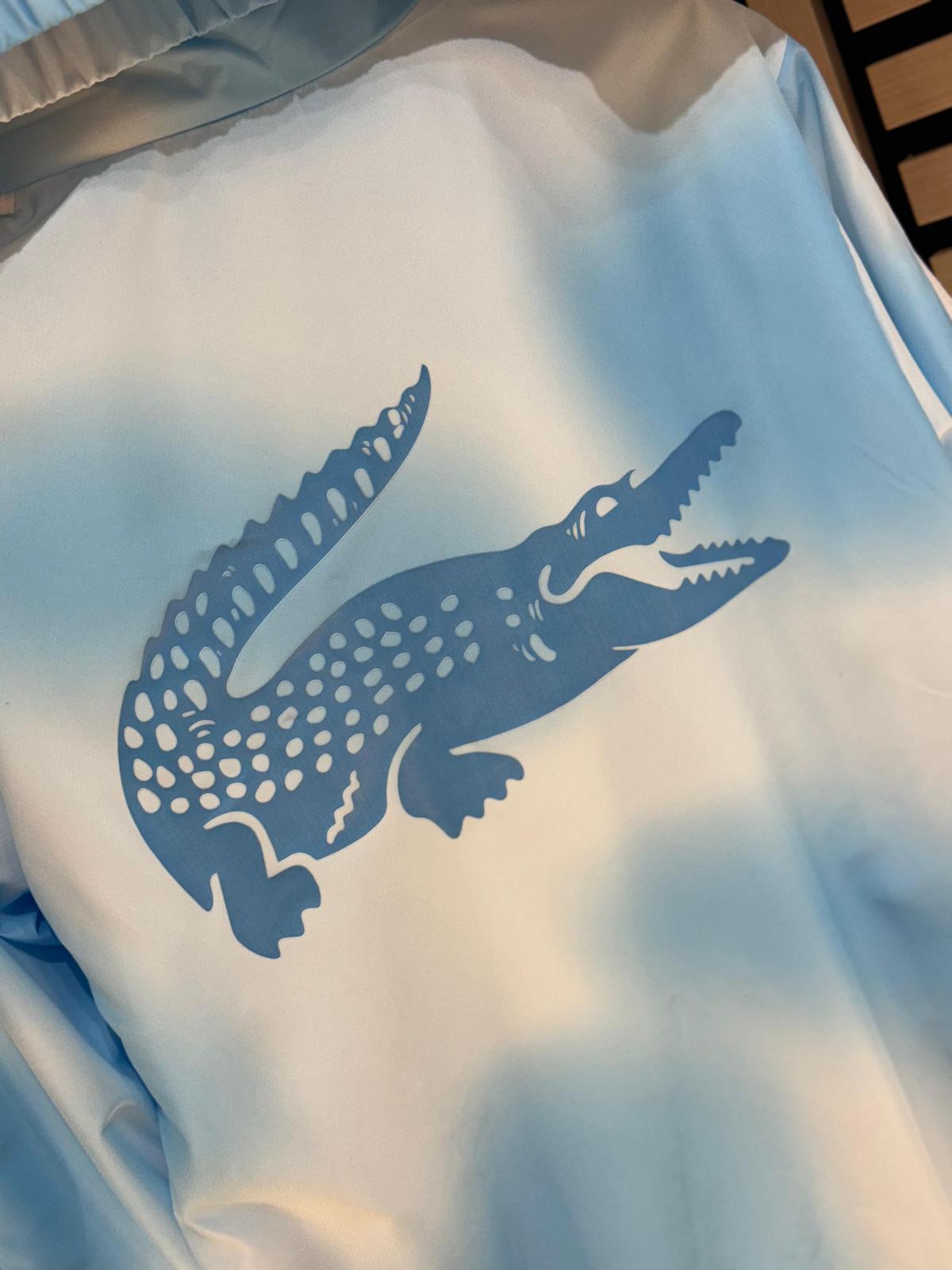 Chándal lacoste azul/blanco