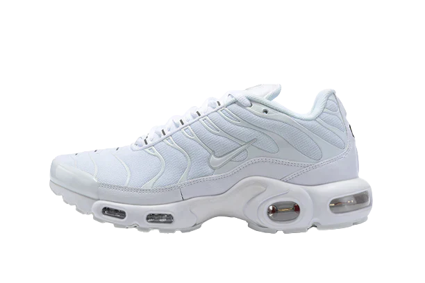 Nike TN máxima calidad